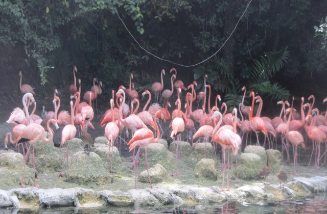 Park Zoological National Dominican Republic